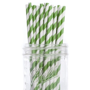 Paper Straw Striped Forest Green DMC7616 25pcs